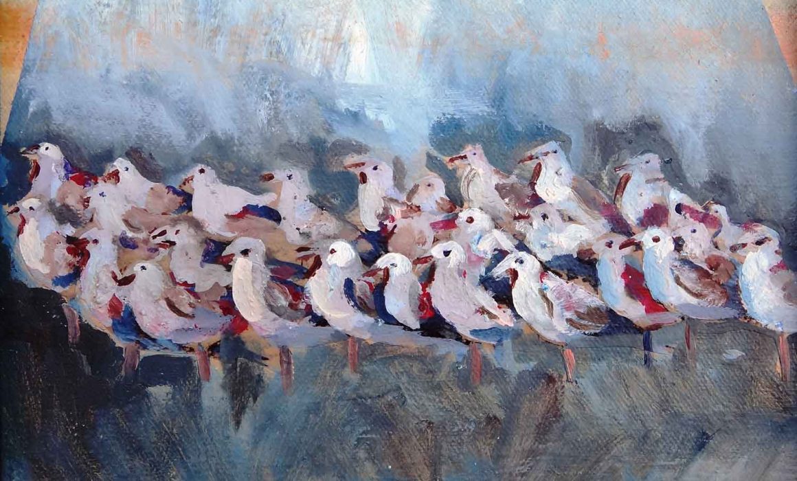 mirazo serie gaviotas