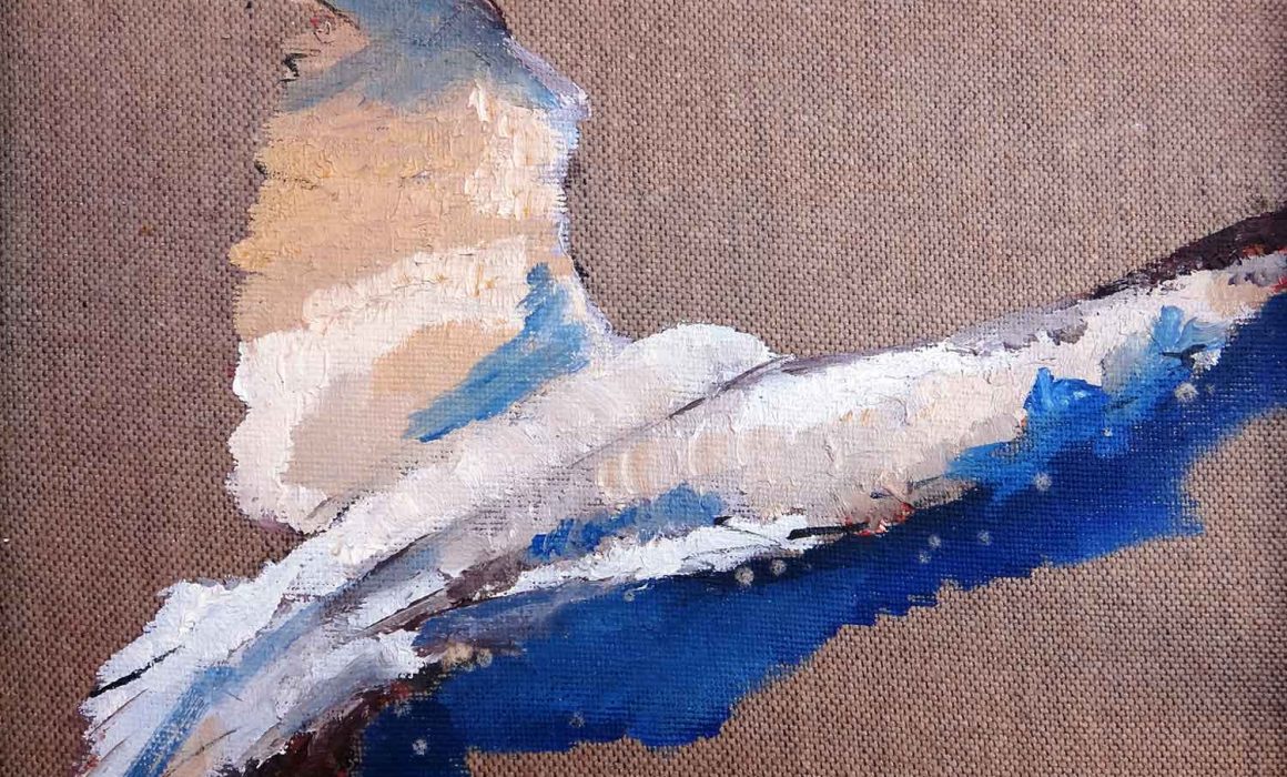 mirazo serie gaviotas