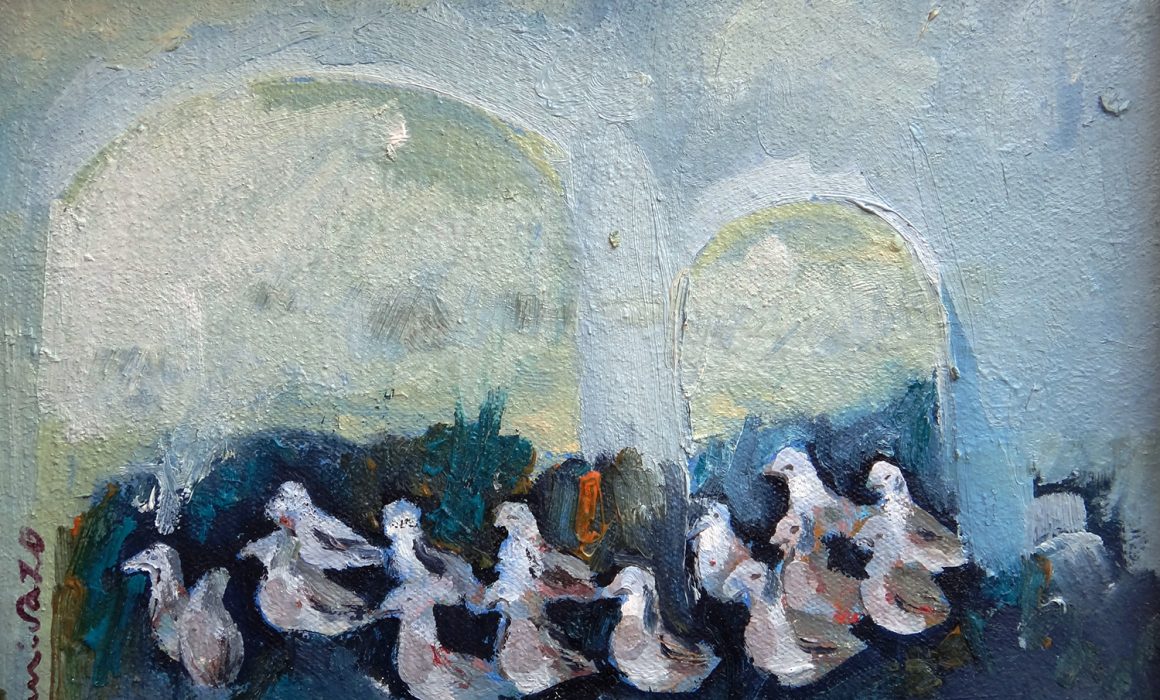 mirazo serie gaviotas