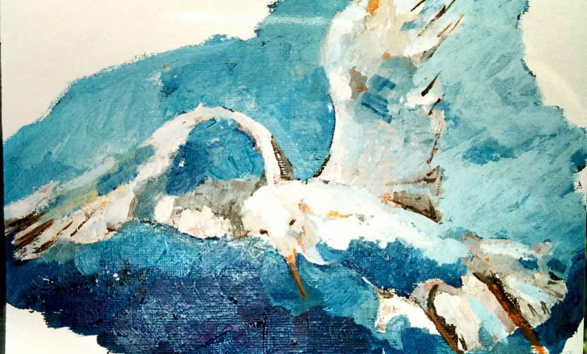 mirazo serie gaviotas