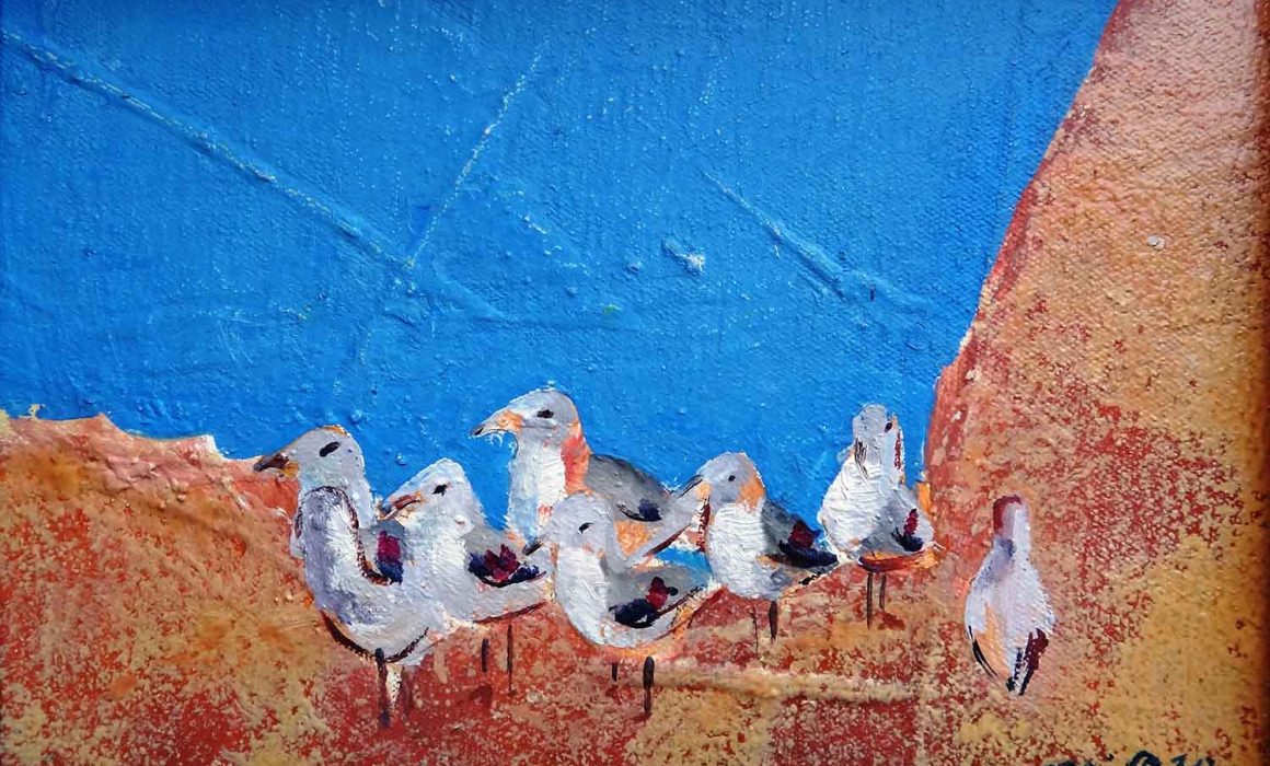 mirazo serie gaviotgas