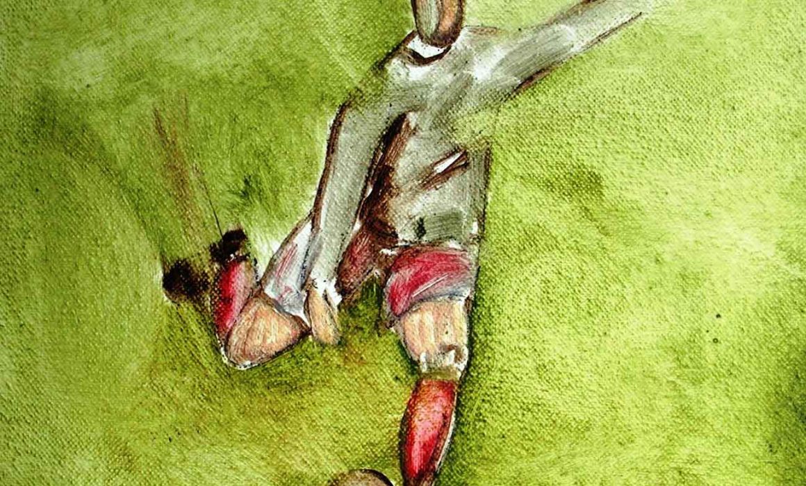 mirazo, serie lúdica