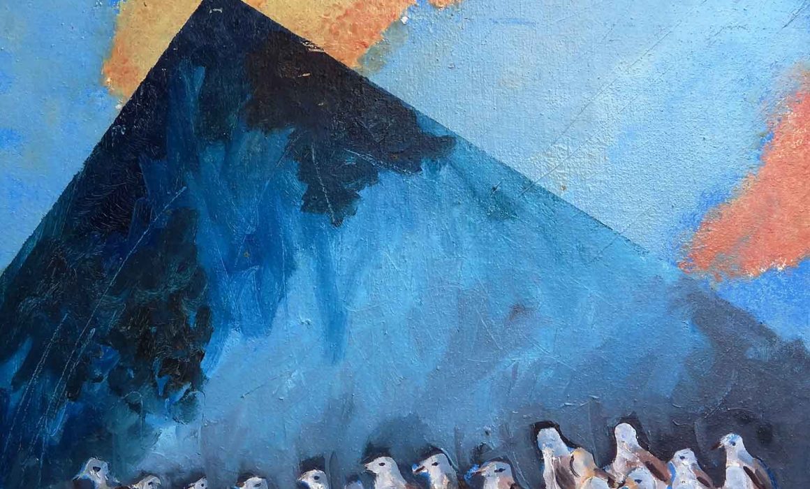 mirazo serie gaviotas