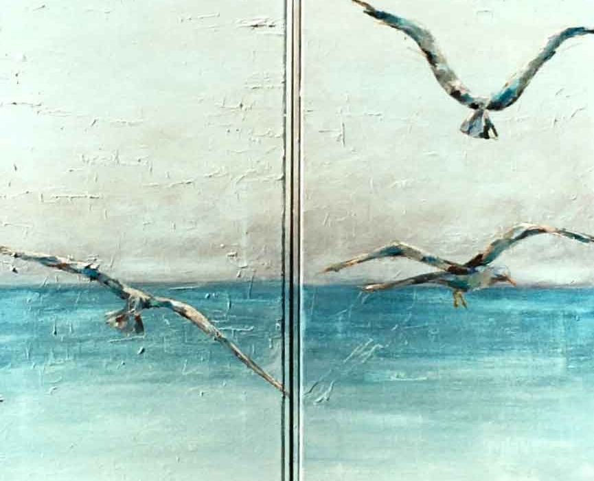 mirazo serie gaviotas