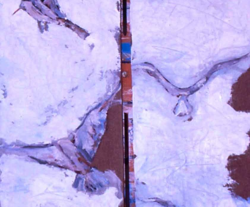 mirazo serie gaviotas