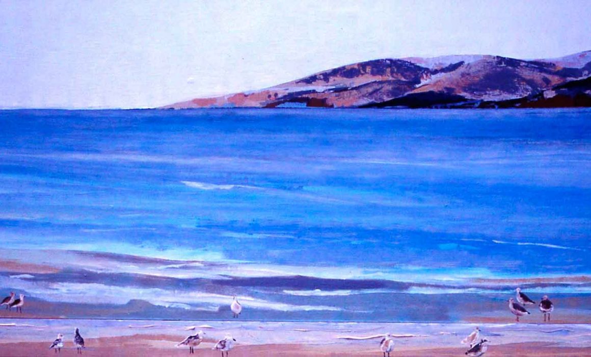 mirazo serie gaviotas