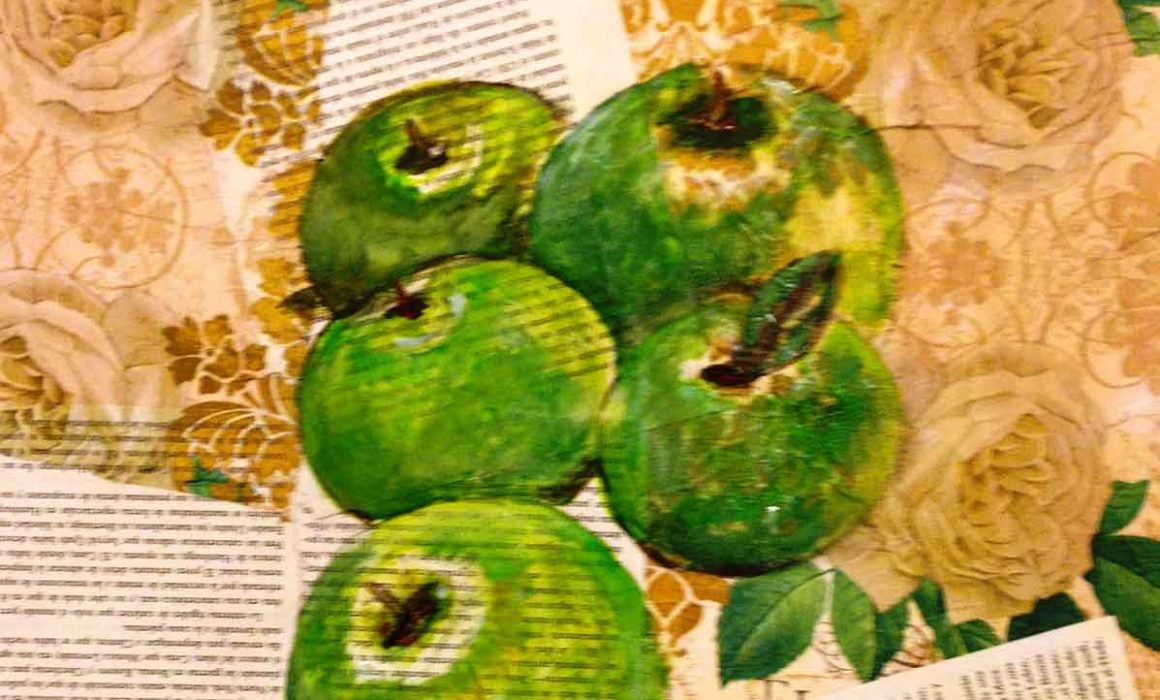 miazo frutas ilustradas