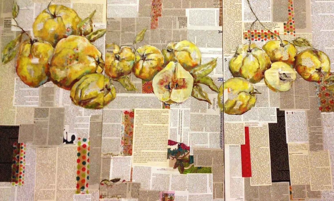 mirazo serie frutas ilustradas