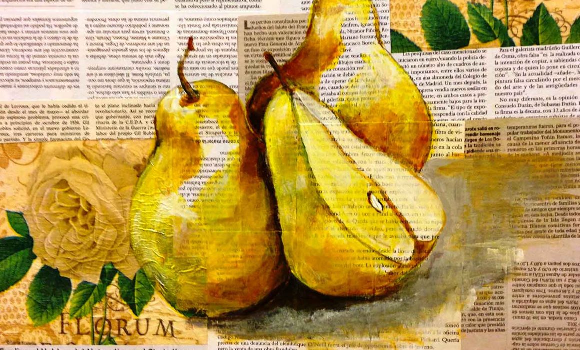 mirazo serie frutas ilustradas