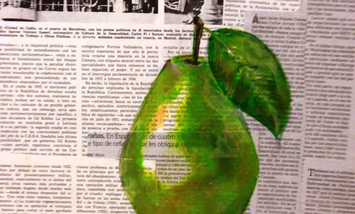 mirazo serie frutas ilustradas