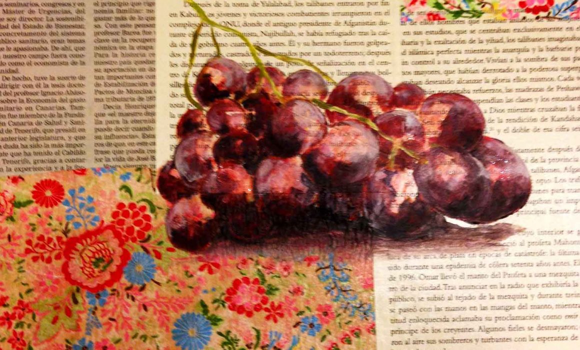 mirazo frutas ilustradas